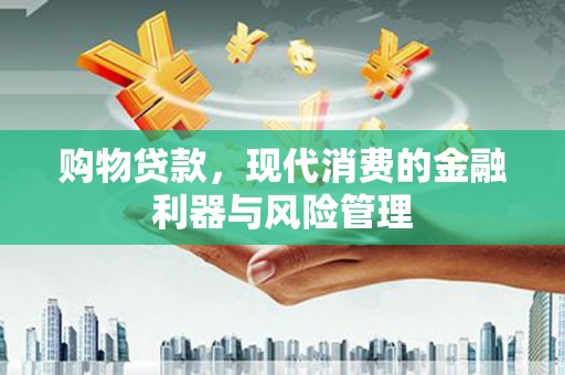 临安购物贷款，现代消费的金融利器与风险管理