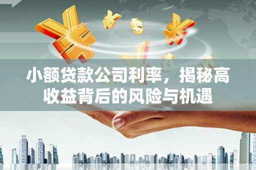 临安小额贷款公司利率，揭秘高收益背后的风险与机遇