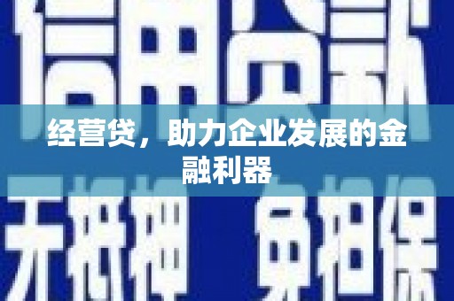 临安经营贷，助力企业发展的金融利器