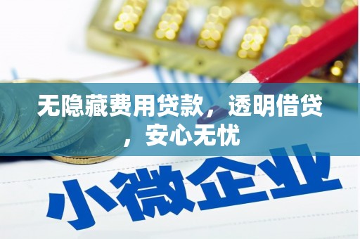 临安无隐藏费用贷款，透明借贷，安心无忧