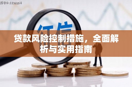 临安贷款风险控制措施，全面解析与实用指南