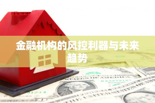 临安金融机构的风控利器与未来趋势