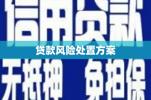 临安贷款风险处置方案