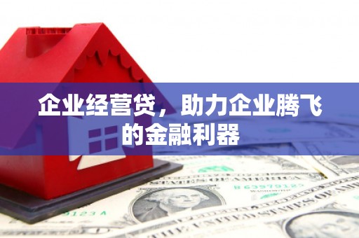 临安企业经营贷，助力企业腾飞的金融利器