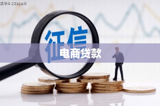 临安电商贷款