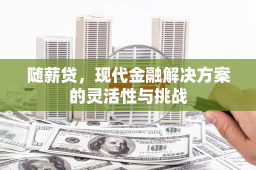临安随薪贷，现代金融解决方案的灵活性与挑战