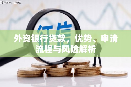临安外资银行贷款，优势、申请流程与风险解析