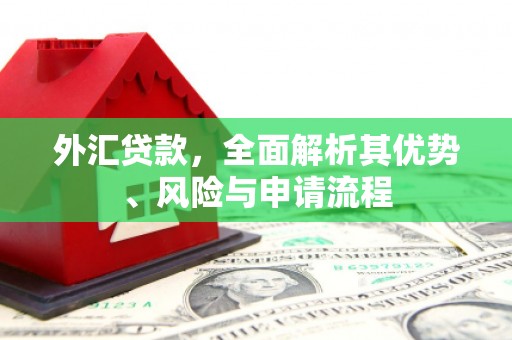 临安外汇贷款，全面解析其优势、风险与申请流程