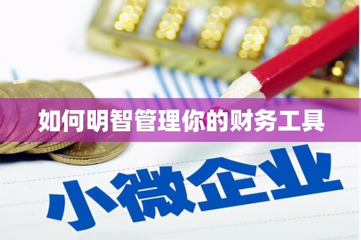 临安如何明智管理你的财务工具