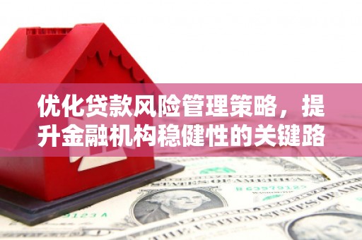 临安优化贷款风险管理策略，提升金融机构稳健性的关键路径