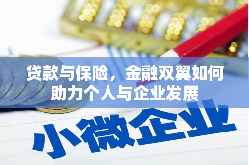 临安贷款与保险，金融双翼如何助力个人与企业发展