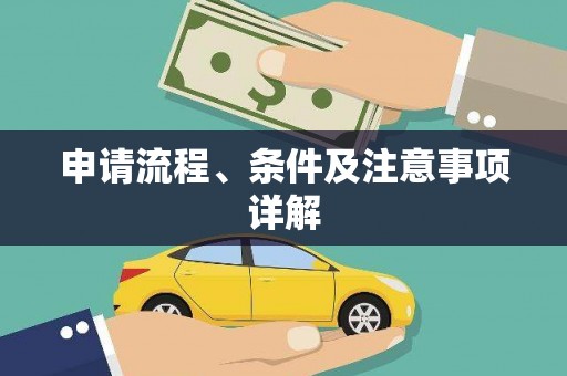 临安申请流程、条件及注意事项详解