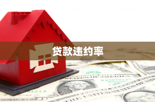 临安贷款违约率