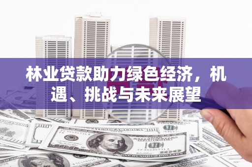 临安林业贷款助力绿色经济，机遇、挑战与未来展望