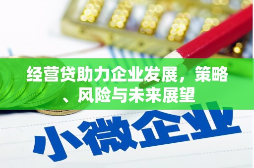 临安经营贷助力企业发展，策略、风险与未来展望