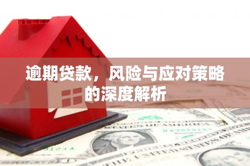 临安逾期贷款，风险与应对策略的深度解析