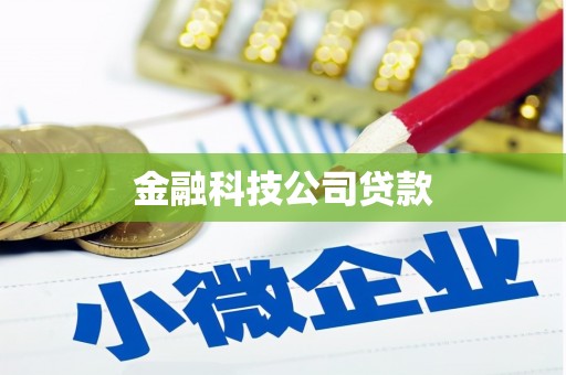 临安金融科技公司贷款