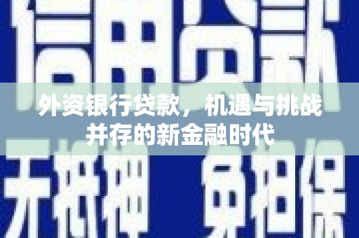临安外资银行贷款，机遇与挑战并存的新金融时代
