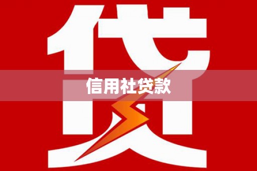 临安信用社贷款