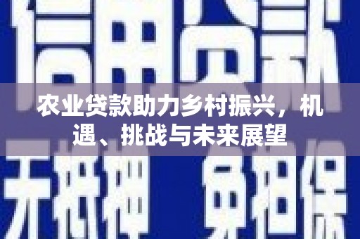 临安农业贷款助力乡村振兴，机遇、挑战与未来展望