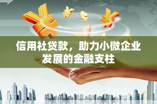临安信用社贷款，助力小微企业发展的金融支柱