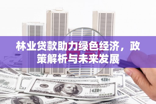 临安林业贷款助力绿色经济，政策解析与未来发展