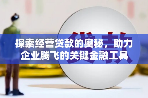 临安探索经营贷款的奥秘，助力企业腾飞的关键金融工具