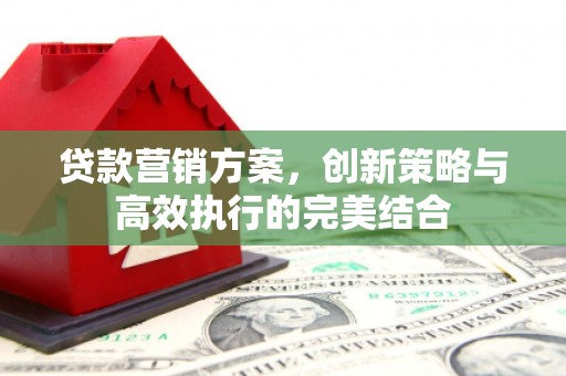 临安贷款营销方案，创新策略与高效执行的完美结合