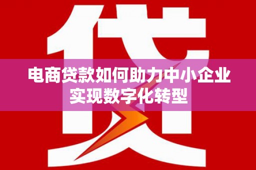 临安电商贷款如何助力中小企业实现数字化转型