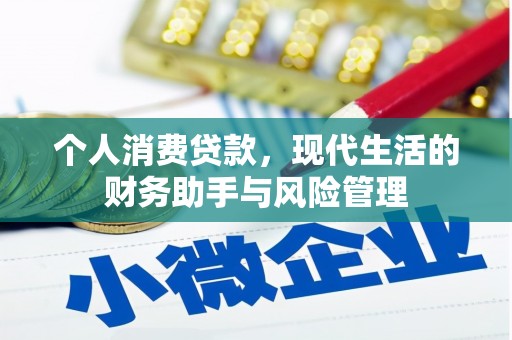 临安个人消费贷款，现代生活的财务助手与风险管理