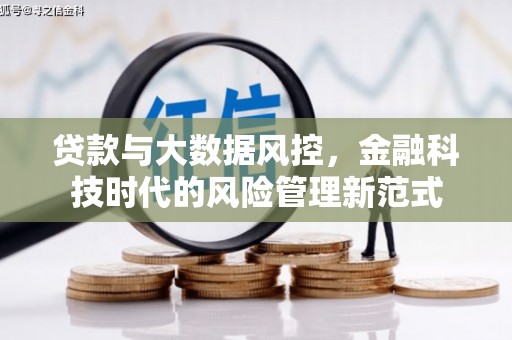 临安贷款与大数据风控，金融科技时代的风险管理新范式