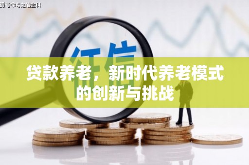 临安贷款养老，新时代养老模式的创新与挑战