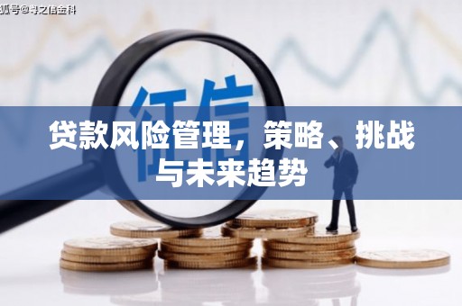 临安贷款风险管理，策略、挑战与未来趋势
