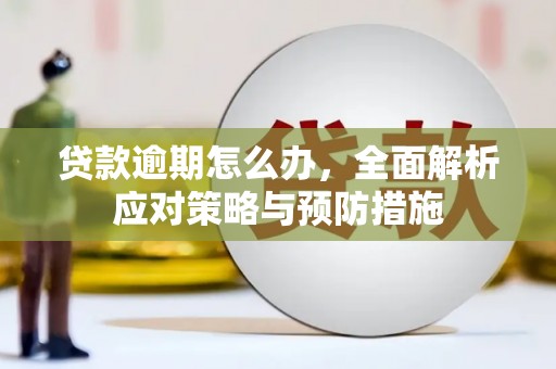 临安贷款逾期怎么办，全面解析应对策略与预防措施