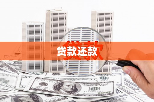 临安贷款还款