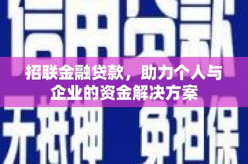 临安招联金融贷款，助力个人与企业的资金解决方案