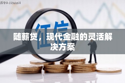 临安随薪贷，现代金融的灵活解决方案