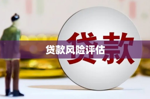 临安贷款风险评估