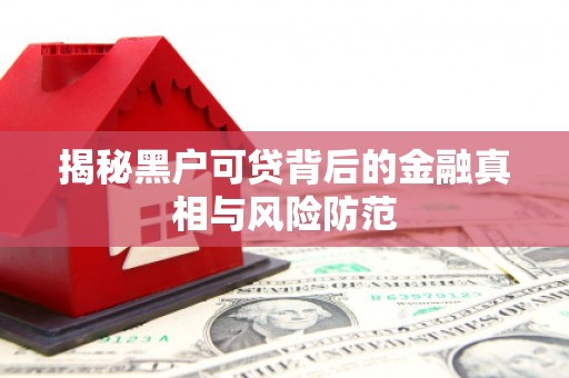 临安揭秘黑户可贷背后的金融真相与风险防范