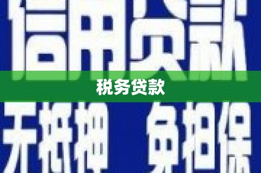 临安税务贷款