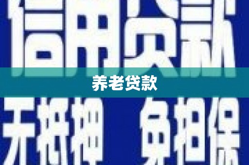 临安养老贷款