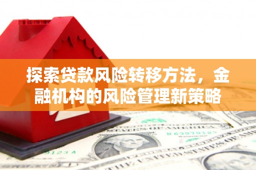 临安探索贷款风险转移方法，金融机构的风险管理新策略
