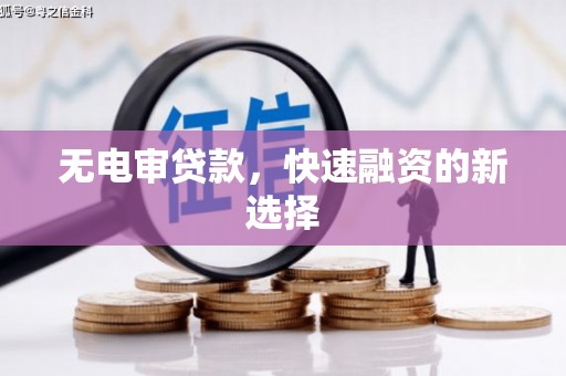 临安无电审贷款，快速融资的新选择