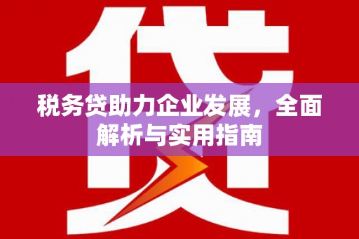临安税务贷助力企业发展，全面解析与实用指南