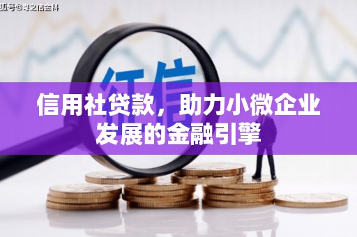 临安信用社贷款，助力小微企业发展的金融引擎