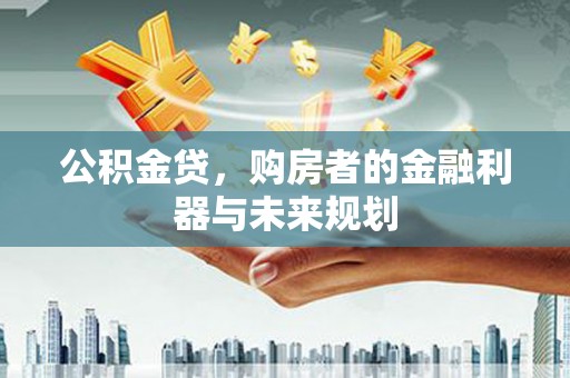 临安公积金贷，购房者的金融利器与未来规划