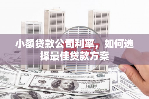 临安小额贷款公司利率，如何选择最佳贷款方案