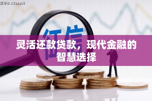 临安灵活还款贷款，现代金融的智慧选择