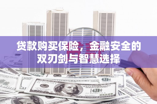 临安贷款购买保险，金融安全的双刃剑与智慧选择