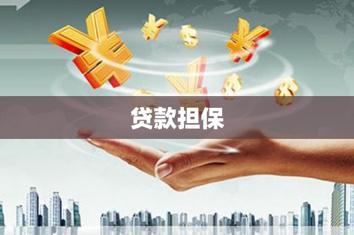 临安贷款担保
